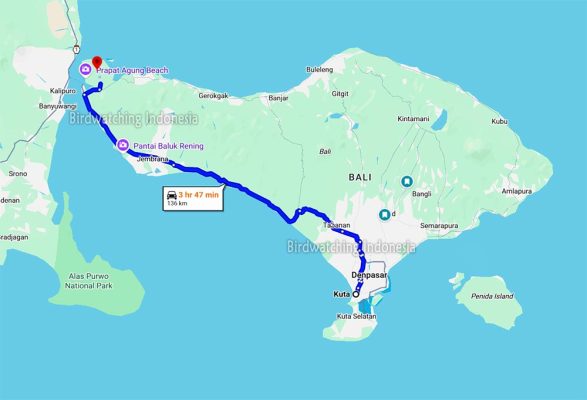 Location of Bali Myna