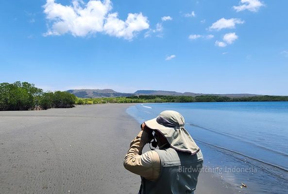 Birding Locations in Bali