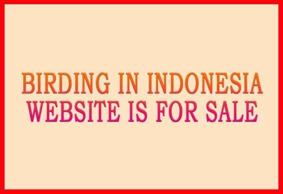 Birding Website For Sale