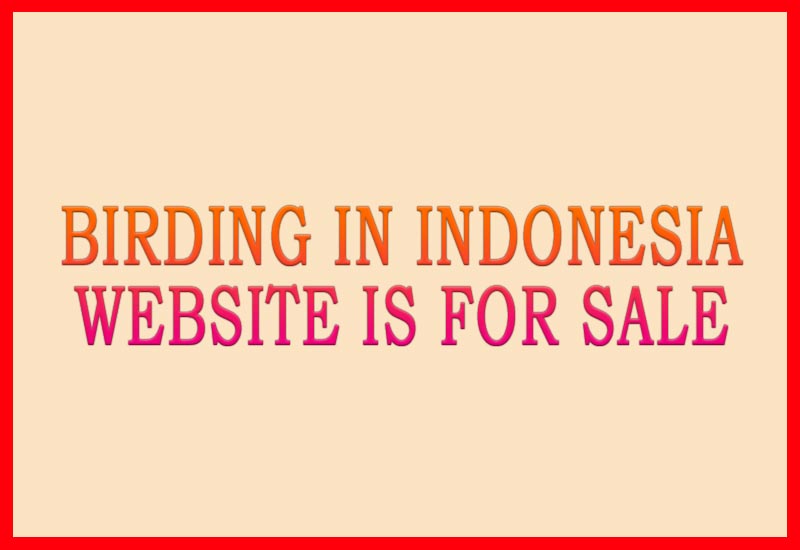 Birding Website For Sale